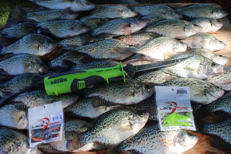 crappie 1