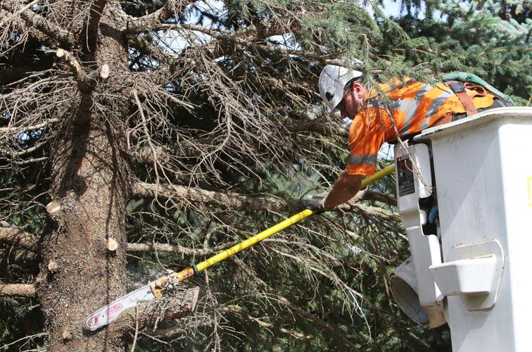 Idaho Power wildfire mitigation