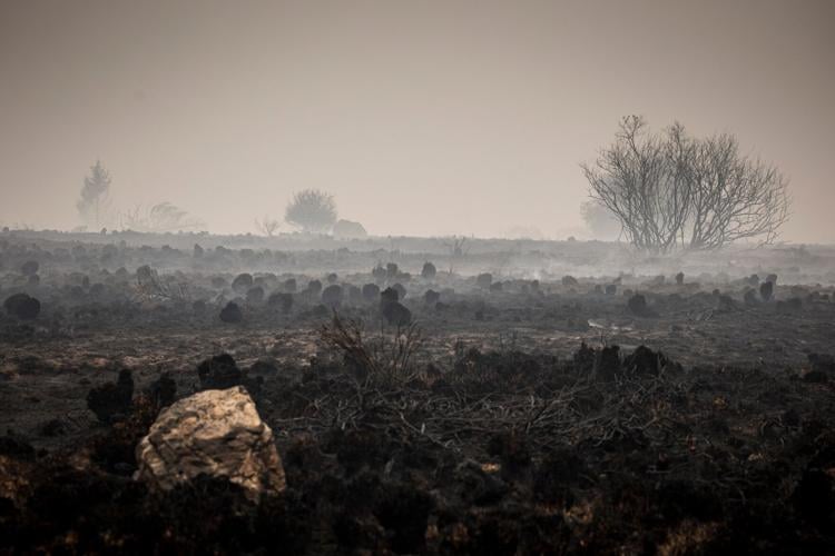 APTOPIX Belgium Wildfires