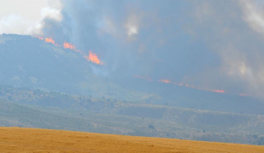 Powerline Fire in Arbon Valley News