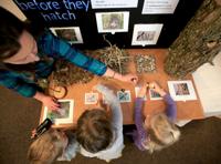 Stokes Nature Center starts 'Canyon Conversations' | Northwest ...