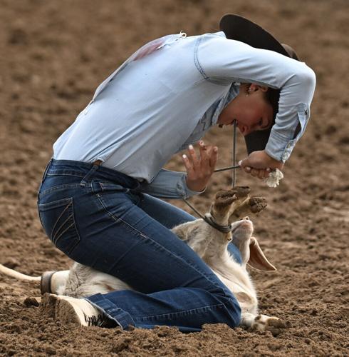 Goat tying_1743.jpeg