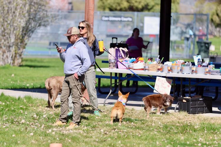 Photos of Run with the Big Dogs at Ross Park in Pocatello | Local ...