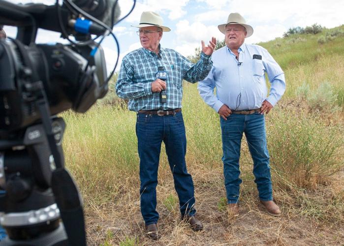 Idaho sheep ranchers call on action to save industry Local