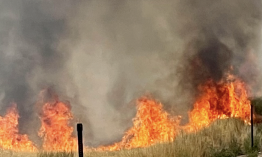 Brush fire wildfire stock image