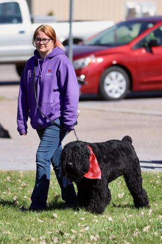 Photos of Run with the Big Dogs at Ross Park in Pocatello | Local ...