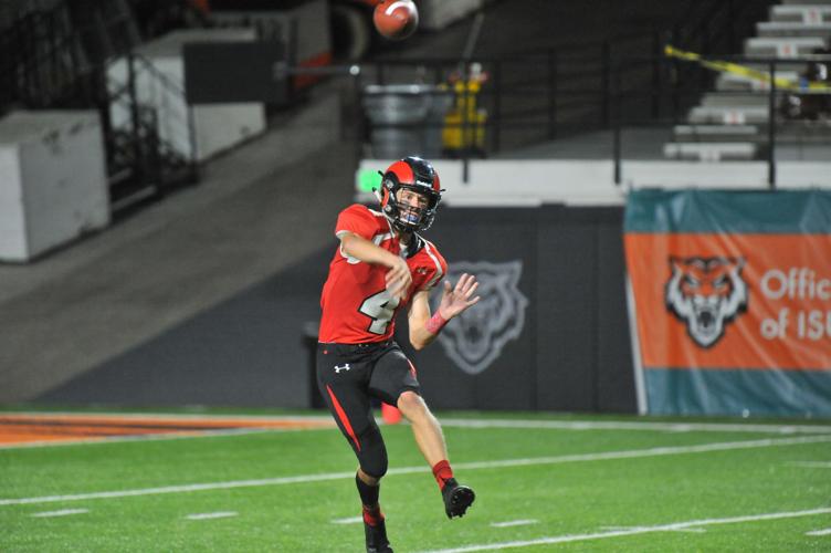 D35_8643.JPG