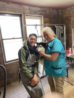 Local dog groomer reflects on 17 years of caring for furry friends