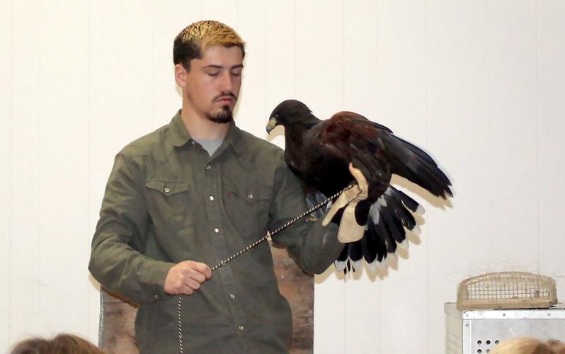 Treyton Young and his Birds