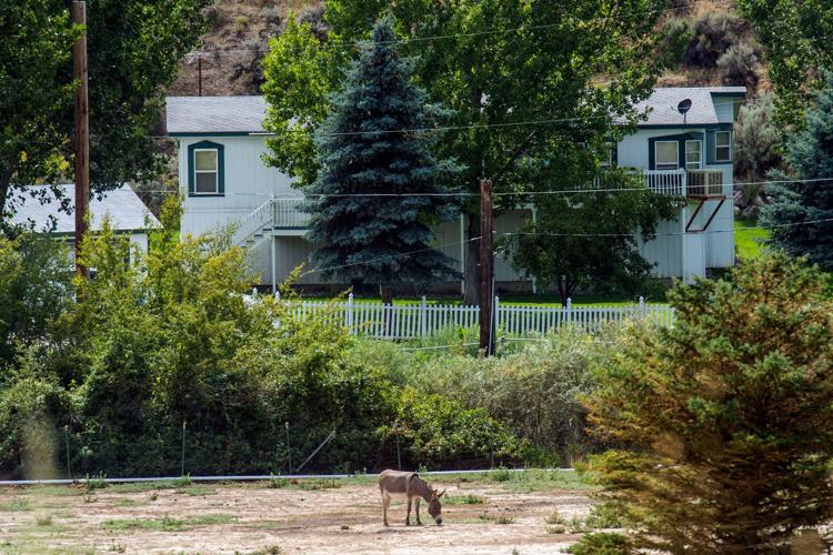 FLDS boys in Pocatello