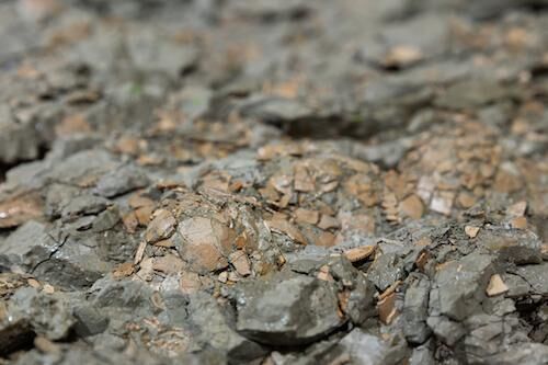 Fossilized Eggs