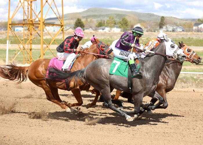 PHOTO GALLERY Horse racing at Pocatello Downs Freeaccess