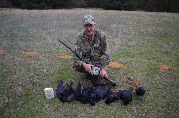 Crow hunting