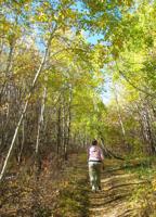 I'm a fool for the City Creek trail in Pocatello