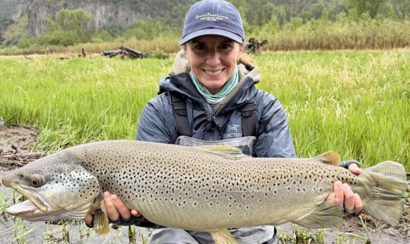 Record trout