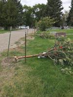 Local cemetery can't keep up with the cost of vandalism