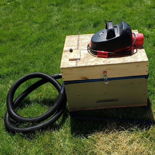 Hofeldt bee vacuum