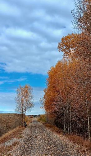 Ashton to Tetonia rail trail