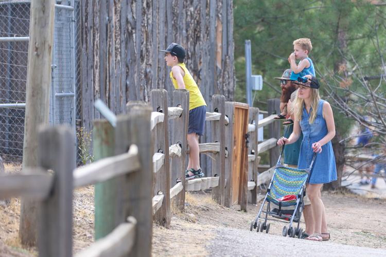 PHOTO GALLERY Free Zoo Day at Zoo Idaho in Pocatello Freeaccess