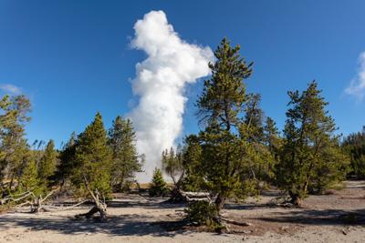 Steamboat Geyser YNP
