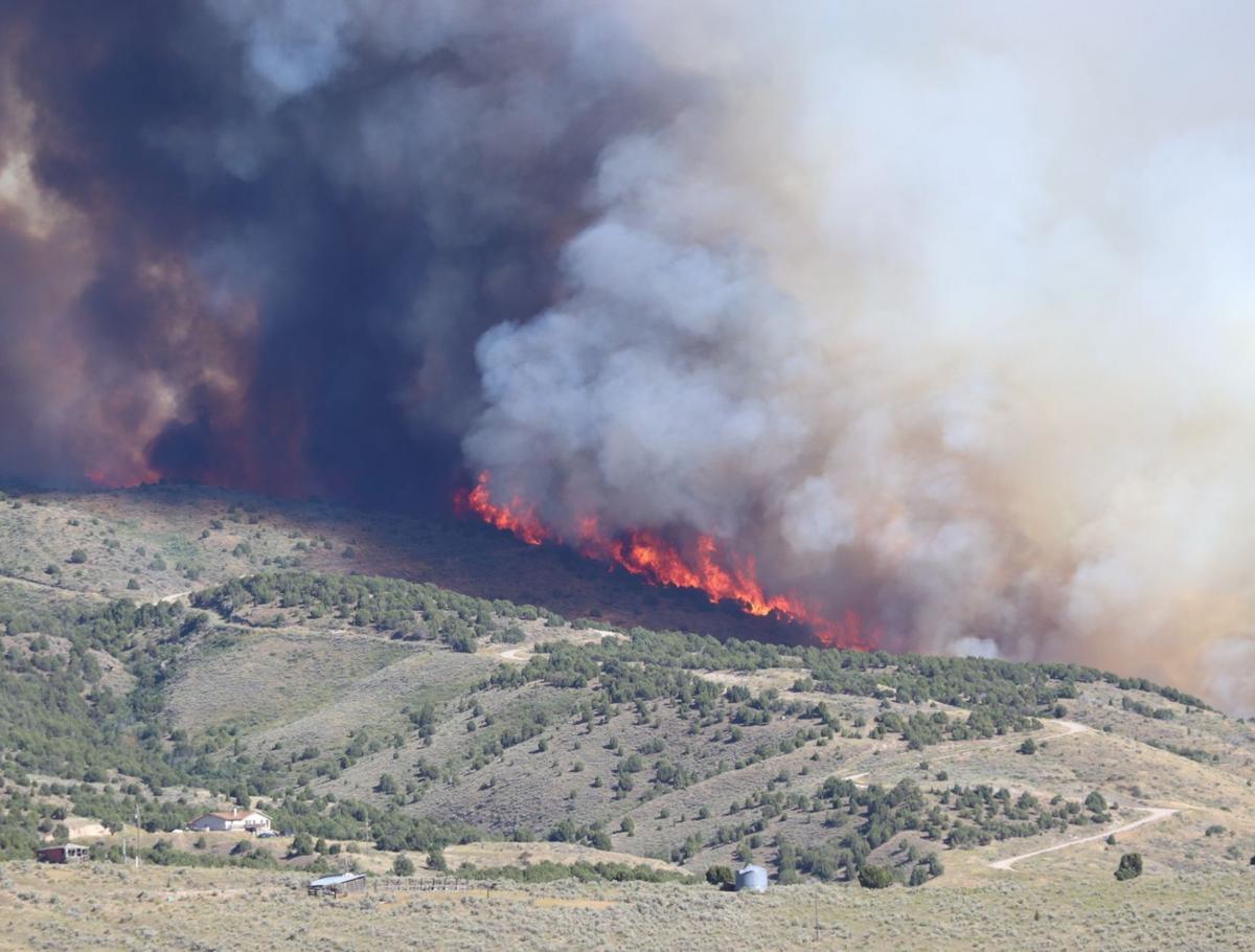 South Pocatello Wildfire Scorches 1 546 Acres Local Idahostatejournal Com