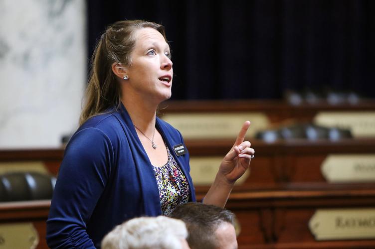 State Legislators unofficial Special Session
