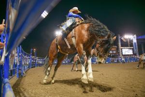 Gem State Classic Pro Rodeo earns back-to-back PRCA Top 5 honors