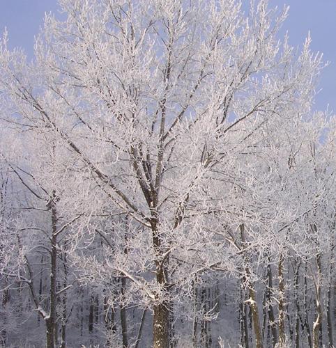 Freeze warning stock image
