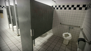Idaho Senate to consider bill that would criminalize trans people using preferred bathrooms