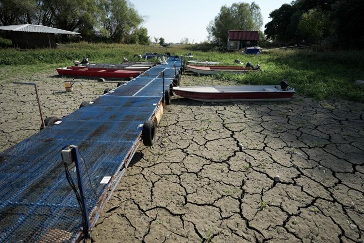 Photos show European fishers on the brink as summer drought parches rivers, lakes and farms