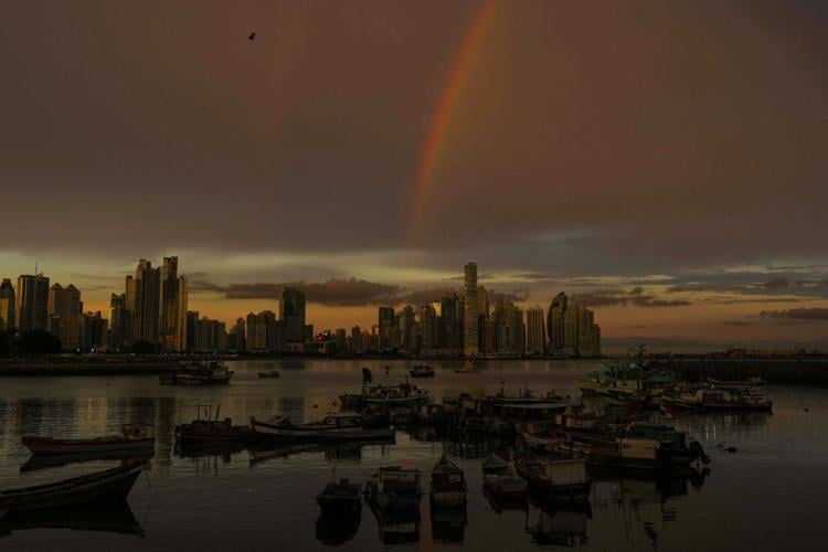 Bolivia's new wild cat, arts protests and other top photos from Latin America and the Caribbean