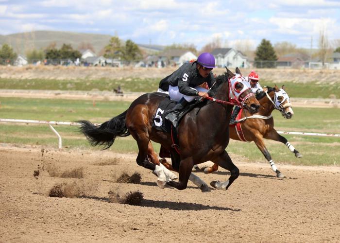 PHOTO GALLERY Horse racing at Pocatello Downs Freeaccess
