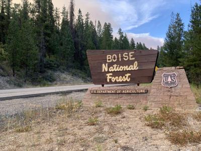 Boise national forest