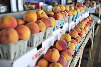 Farmer's Market stock image