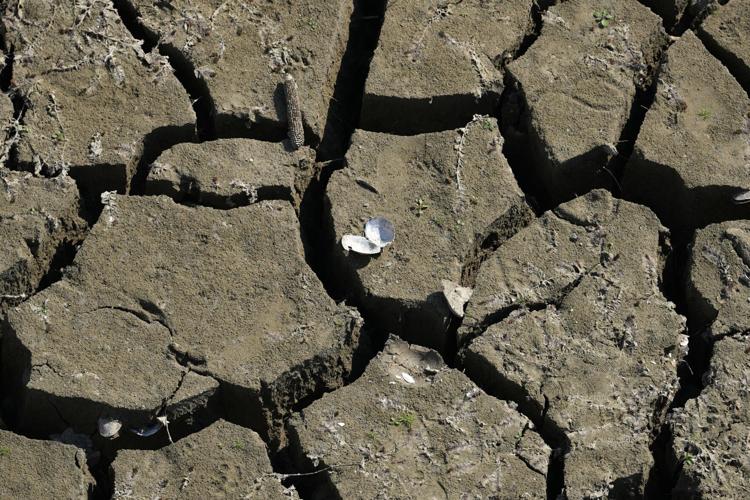 Photos show European fishers on the brink as summer drought parches rivers, lakes and farms