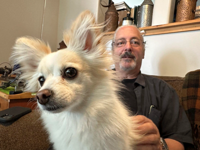 July 4 dogs