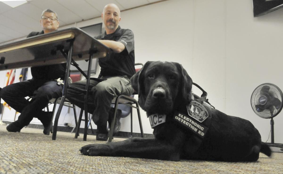 New police dog trained to detect electronic storage devices