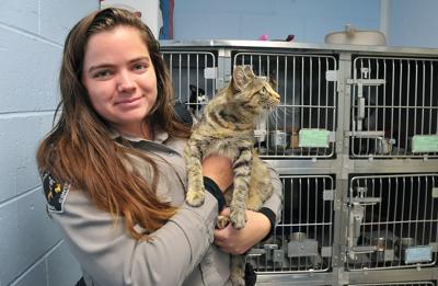 Chubbuck Animal shelter