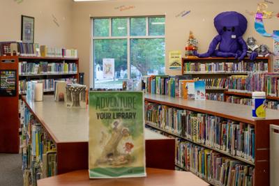 Library lawsuit (copy)