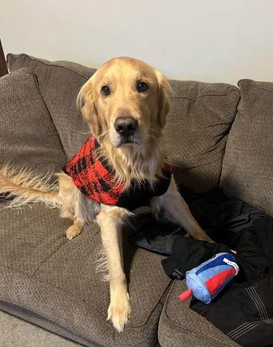 Treston Hadley Dog