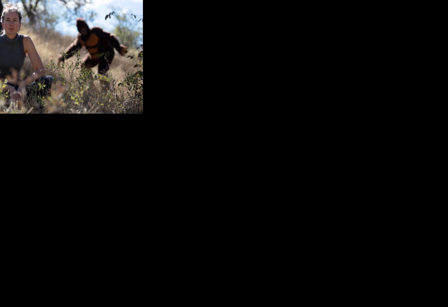 1WAmLqLA.jpg