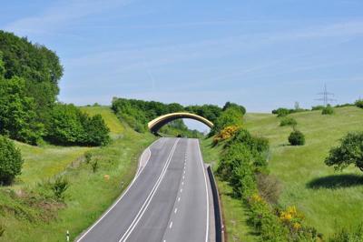 Wildlife overpass