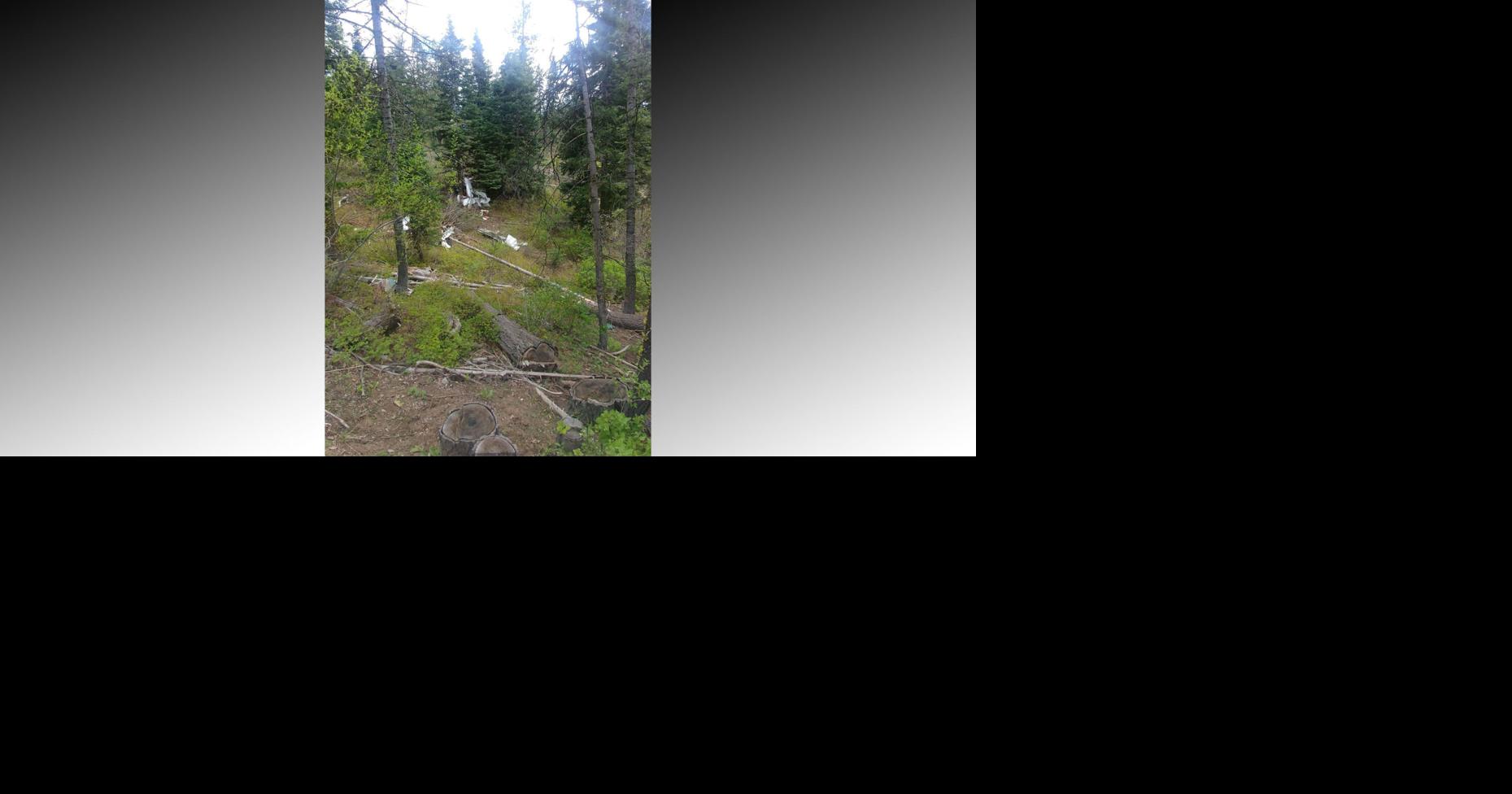 Pilot killed in Idaho plane crash | Local | idahostatejournal.com