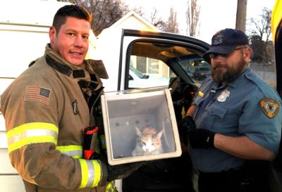 Cat rescued from Portneuf River