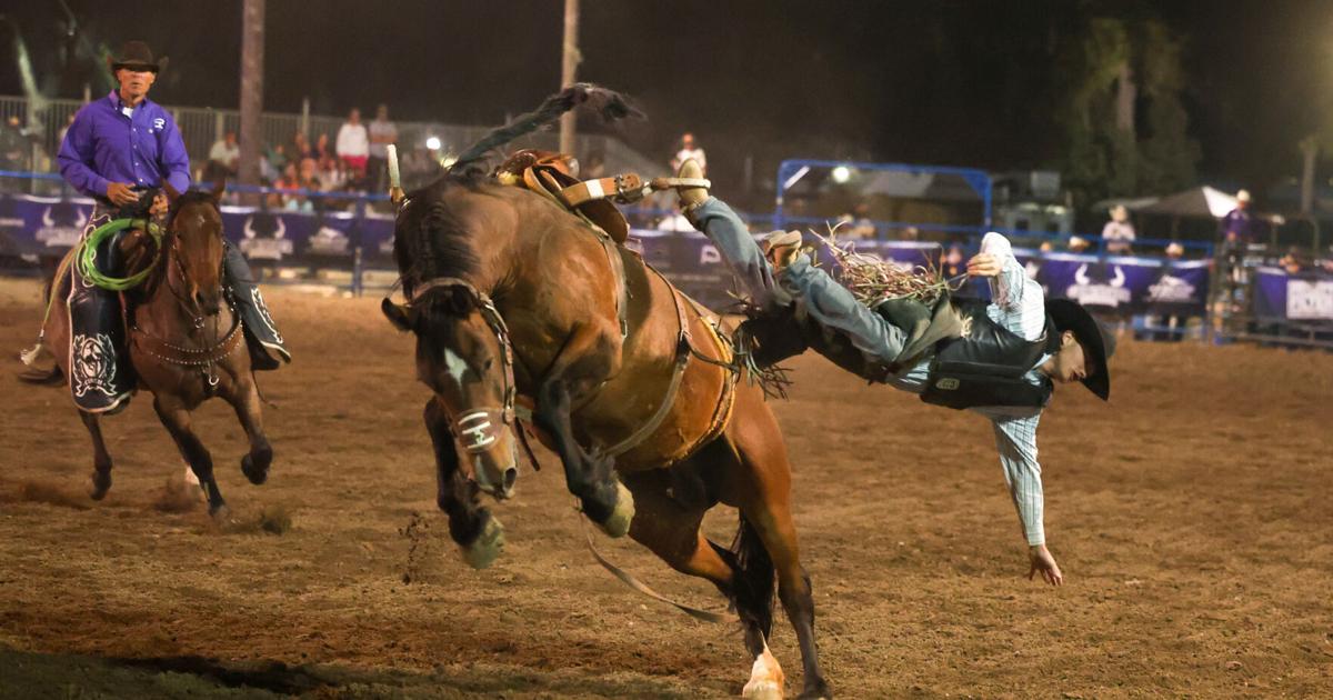 Idaho Rodeos More photos of the Gem State Classic Rodeo at the Eastern Idaho State ...