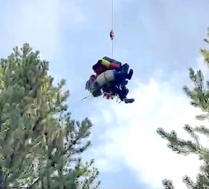 Texas brothers survive Yellowstone National Park Grizzly Bear attack