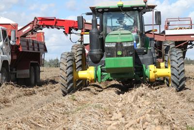 farm payments (copy)