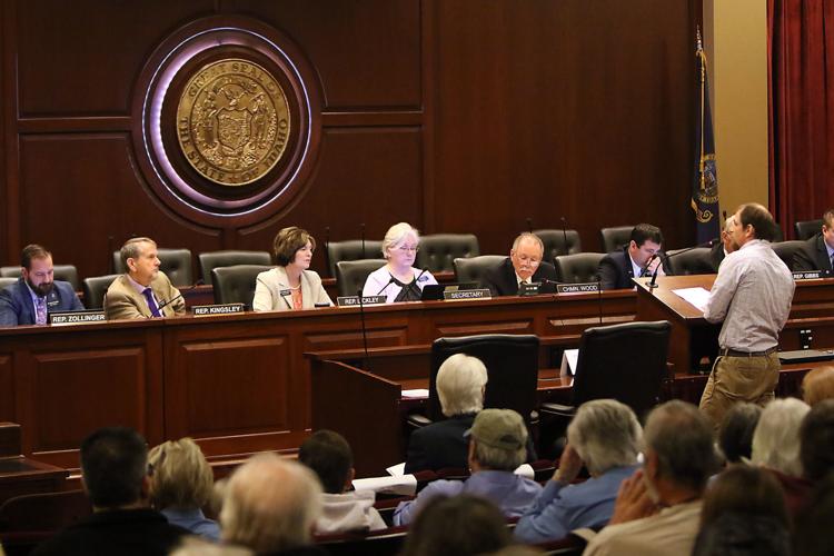 Medicaid HB 277 hearing