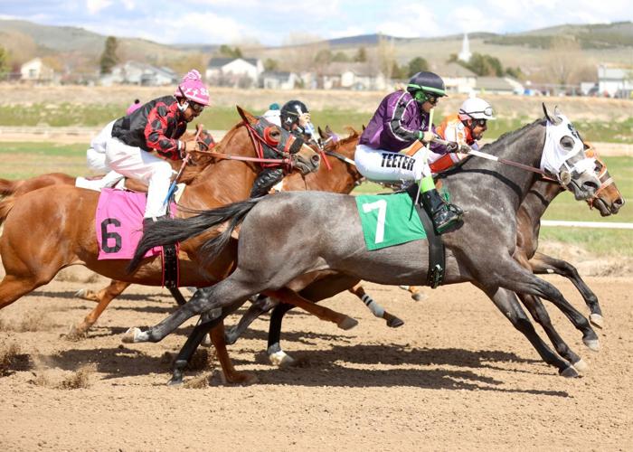 PHOTO GALLERY Horse racing at Pocatello Downs Freeaccess
