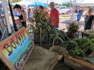 Farmers market patrons waiting outside of the Bowman Organic Farms booth